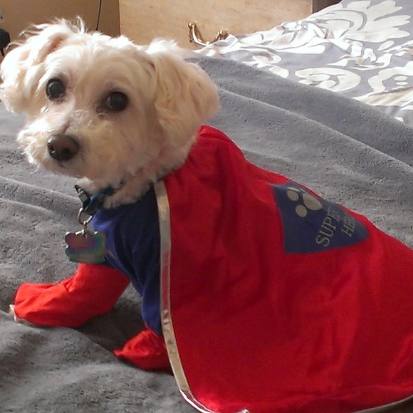 Meet your Posher, Debbie - Picture 2 of 5